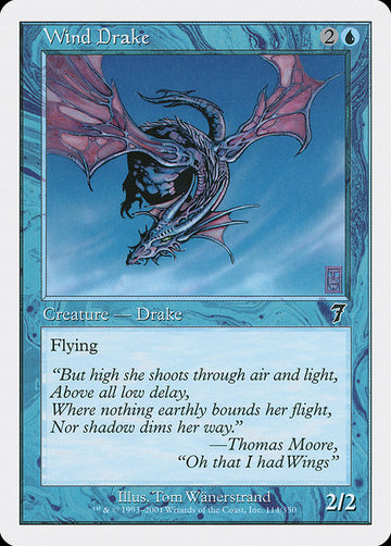 Wind Drake